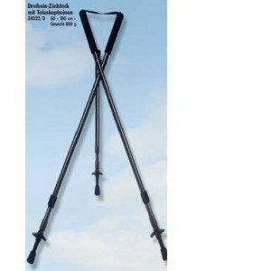 &Scaron;tap sa 3 noge, Fritzmann